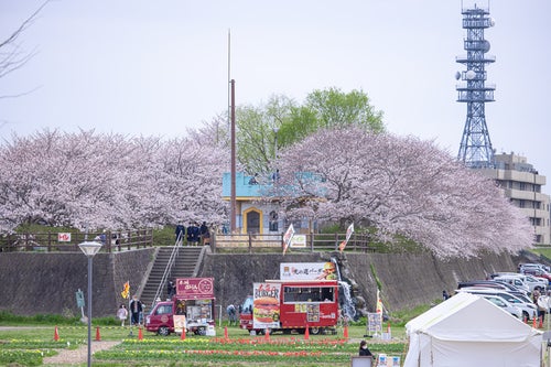 日本本科申请英国研究生必备条件及案例分享