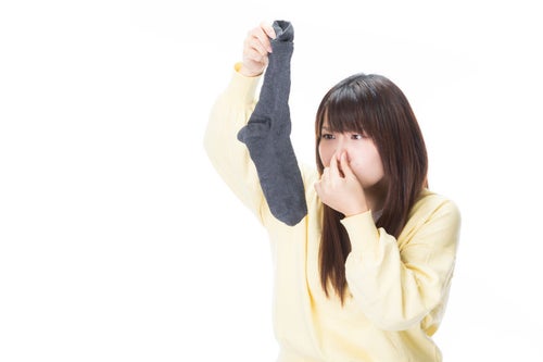 日本留学申请：研究计划书撰写费用与选择指南